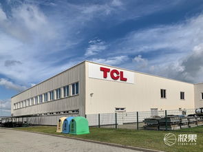 對話王成 TCL如何在2020年躋身歐洲前三，國內貿易代理又扮演何種角色？